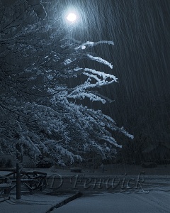 tree-snow-night-blue
